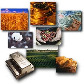 The Commodity Futures Market